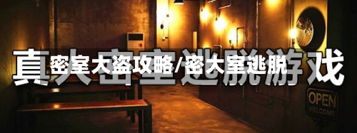 密室大盗攻略/密大室逃脱-第3张图片