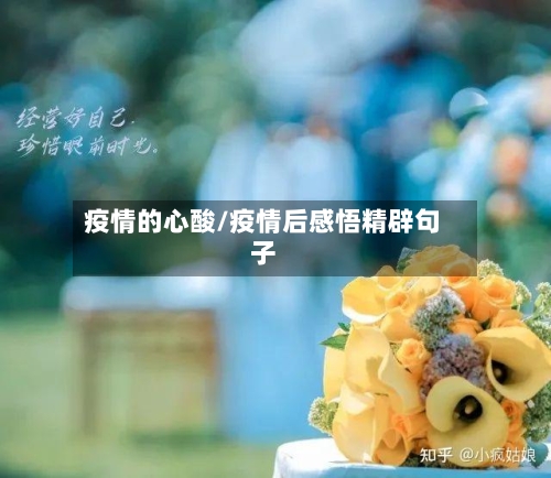 疫情的心酸/疫情后感悟精辟句子-第3张图片
