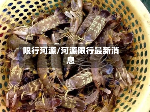 限行河源/河源限行最新消息-第2张图片