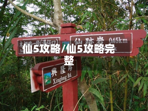 仙5攻略/仙5攻略完整-第2张图片