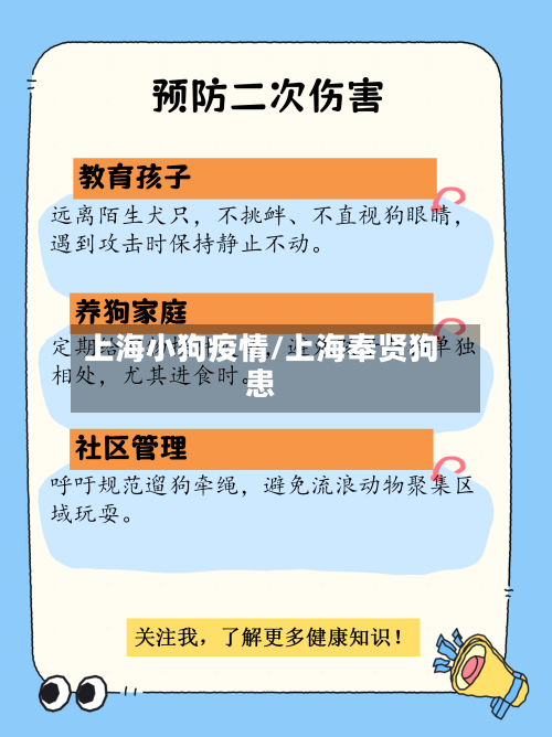 上海小狗疫情/上海奉贤狗患-第3张图片