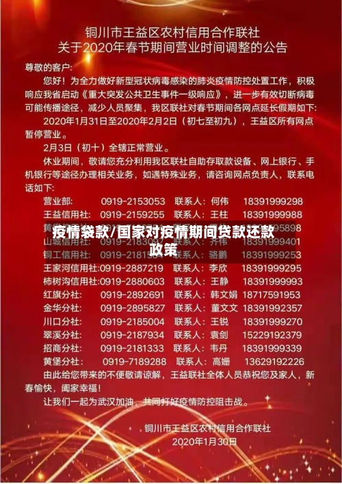 疫情袋款/国家对疫情期间贷款还款政策-第2张图片