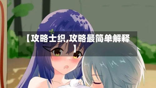 【攻略士织,攻略最简单解释】