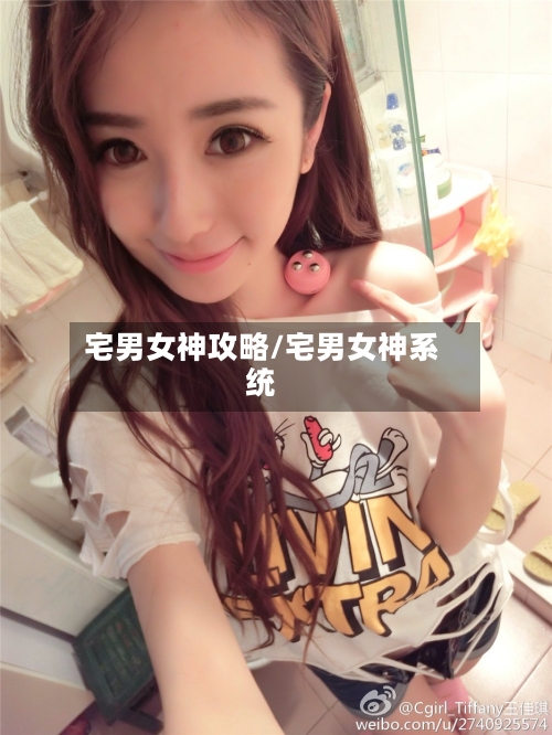 宅男女神攻略/宅男女神系统