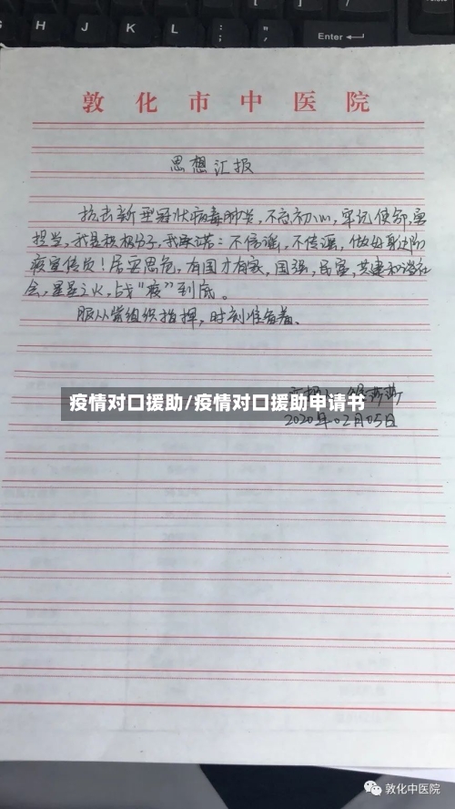疫情对口援助/疫情对口援助申请书-第3张图片