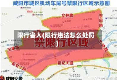 限行害人(限行违法怎么处罚)